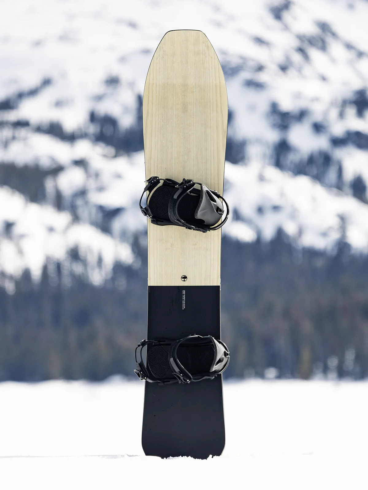 Padre Snowboard - Image 5