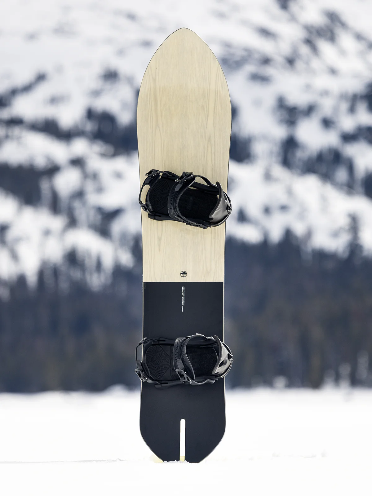 Terrapin PFD Snowboard - Image 5